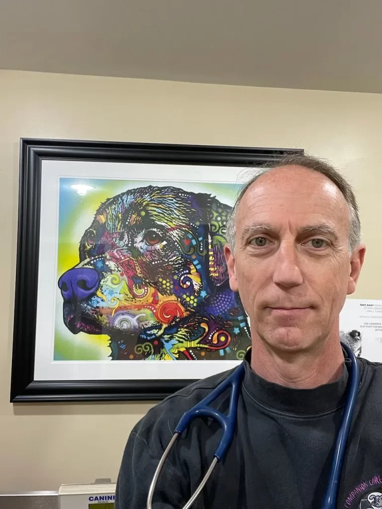 Man in black shirt with a stethoscope, standing in front of a colorful dog painting.