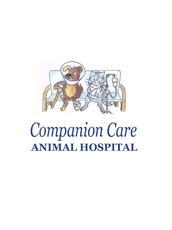 Cartoon dog with a cone and cat with an IV drip sitting on a sofa under hospital title.