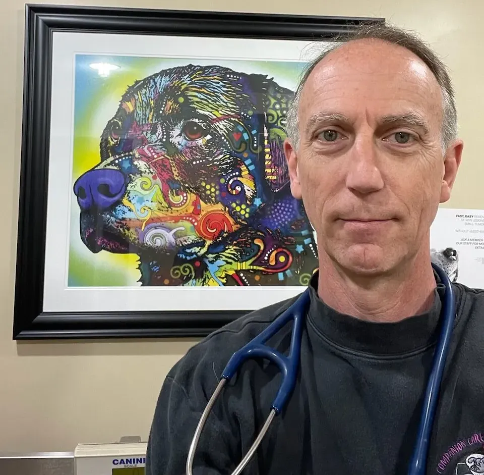 Man in scrubs with stethoscope near a colorful framed dog portrait.