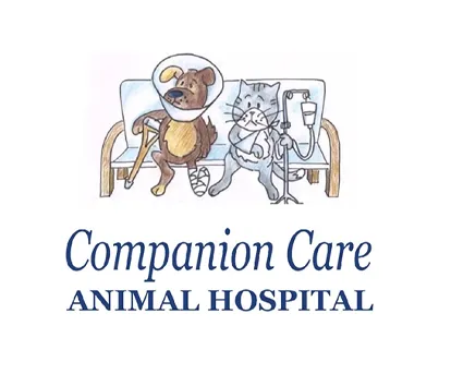 Illustration of a dog with a bandaged leg and a cat with an IV, sitting on a bench, for an animal hospital.