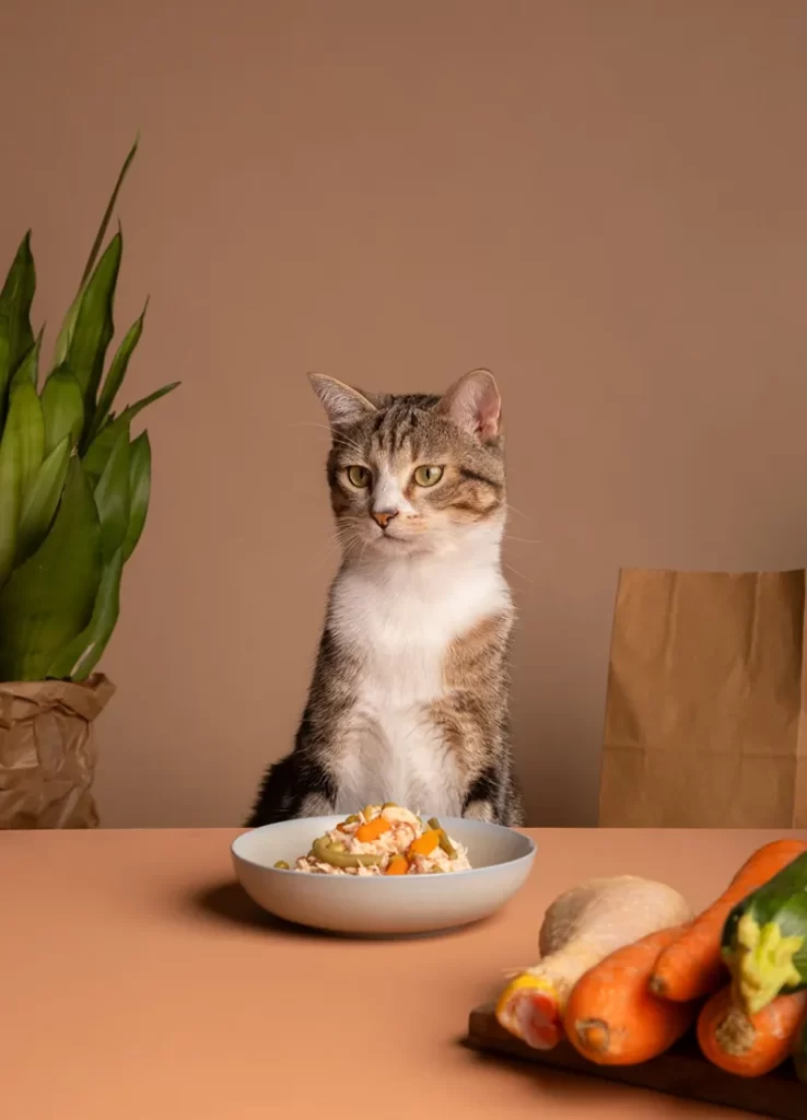 Cat sitting at a table looking at a bowl of food with vegetables nearby.