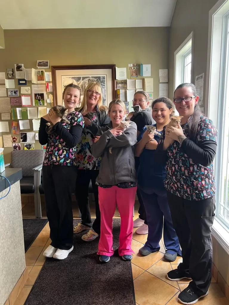 Group of five women in scrubs, each holding a kitten, smiling in a room.